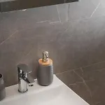 Modesty Split